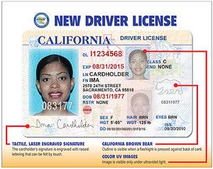 ID Drivers License Data Capture Software w Card Reader to Populate 
