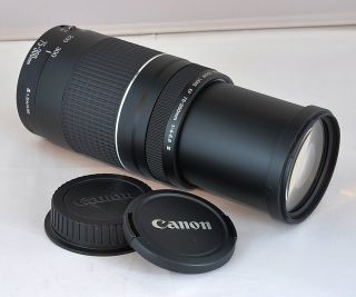 Canon EF 75 300mm III Zoom Lens for EOS Rebel T4i T3 T3i T2i T1i 60D 