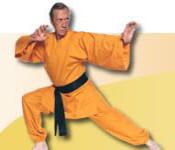 David Carradine Learn Tai Chi Kung Fu Beginner New DVD 743457129527 
