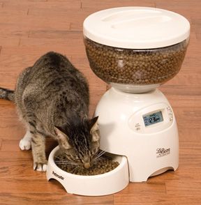 Petmate 5 lb White Automatic Pet Dog Cat Dry Food Feeder Bowl Dish 