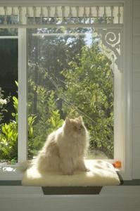 Purrfect Window Perch Pet Cat Furniture Othopedic Foam General Cage 