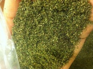 Bulk Catnip 1 oz 20 Pounds Fresh Dried Green Free Shipping