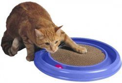 Bergan Turbo Scratcher Cat Toy Scratching w Ball Kitten
