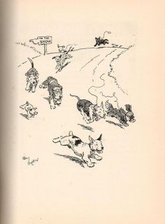 1932 Cecil Aldin Book  Dogs  8 color plates  1st ed P G Wodehouse etc 