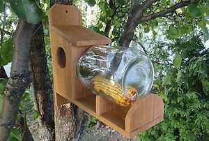 Red Cedar Squirrel Feeder With 1 Gallon Glass Jar