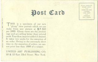 Michigan Cedar Springs View C 1910 Advertising Postcard