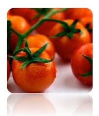 Open Pollinated Tomato Seeds   Large Red Cherry