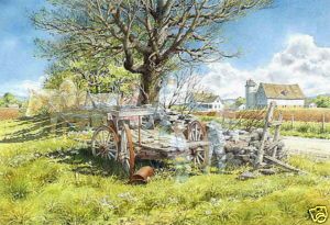 Charles Peterson Clearing The Field CE Limited Print