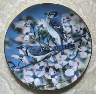 Blue Jays of Spring Bird Danny ODriscoll Plate Favorite American 