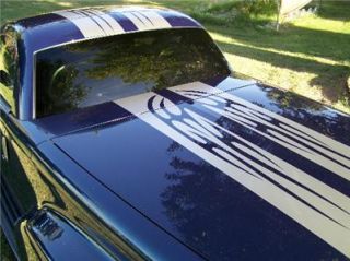Chevy SSR Dual 10 Racing Stripes With Tribal Flames, Your Choice Of 