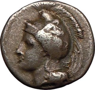 Lucania, Velia,350 B.C.Silver Didrachm.Goddess ATHENA/LION devouring 