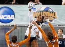Volleyball for You Everything You Need for Your USA NCAA Club High