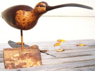  Hand Carved Curlew Shorebird Duck Decoy Cobb Island Kirkpatrick
