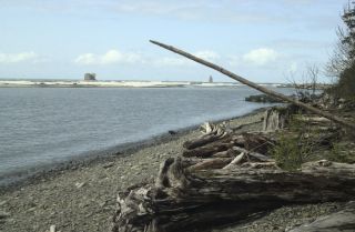 the pacific beach at the mouth of the hoh river