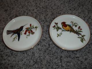 Two Porcelain Bird Plates by Fuerstenberg Germany