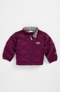 The North Face Aconcagua Jacket (Infant)