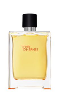 Hermès Terre d’Hermès   Pure perfume natural spray