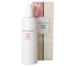 bareMinerals Skincare Deluxe Purifying Facial Cleanser 12 oz.