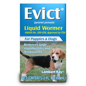 Evict Liquid Wormer for Puppies & Dogs removes larges roundworm and