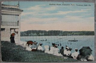 1900’s Conneaut Lake, PA Postcard~Bathing Scene Exposition Park