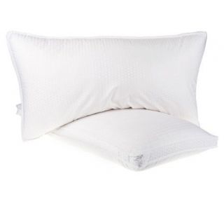 Northern Nights Set of 2 KG 550 FP White Down Pillows with Gusset 