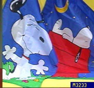 Choice of Peanuts Decorative Flags —