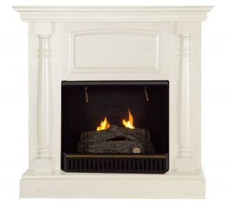 Pillar Freestanding Wall Fireplace w/Fuel & Screen by Real Flame