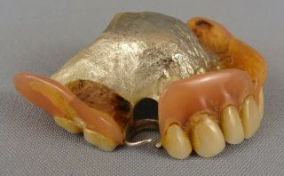 Antique Cosmetic Oral Dental Dentist Prosthetic False Teeth Tooth