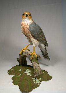 15 Coopers Hawk Original Bird Carving Birdhug