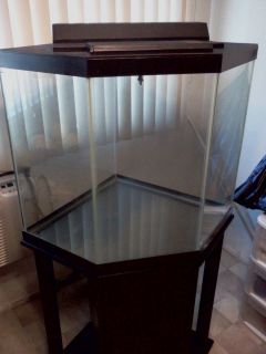 55 Gallon Glass Corner Aquarium With Stand. Leak Free and Freshly