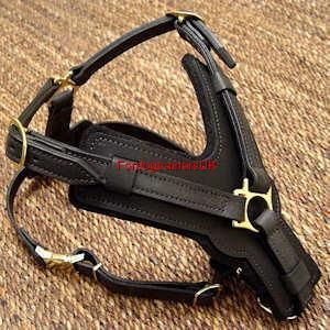 harness h10 cane corso luxury padded leather harness black 2