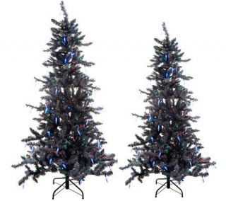 Frosted Fir LED Christmas Tree with Icicles and 5 Year LMW 