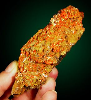 Fireengine Red Crocoite Terminated Crystals Tasmania