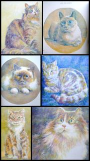 CROSS STITCH CATS Patterns SIAMESE TABBY MAINE COON ++