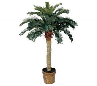 Sago Palm Tree by Nearly Natural —