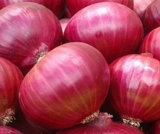 Heirloom Organic Red Creole Onion 150 Seeds Combined Shipping