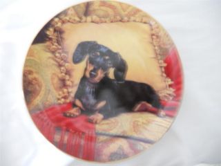 Darby Mint Oh So Comfy by Christopher Nick Collection Dachshunds Plate