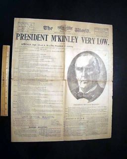  William McKinley Assassination Shot by Leon Czolgosz Buffalo NY