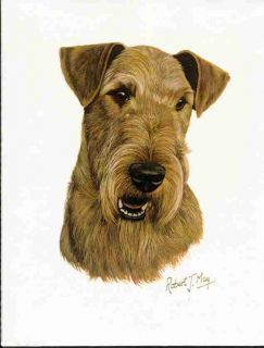 Airedale Terrier Dog Print by Robert J May