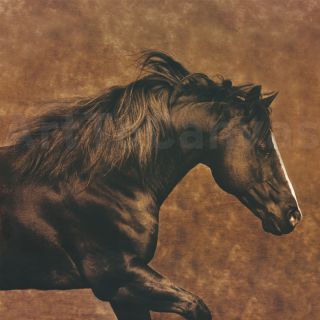 36x36 Eastward Gallop by Robert Dawson Horse Canvas
