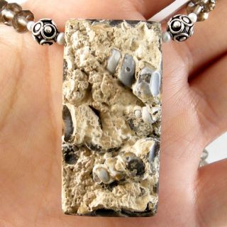 RARE Turitella Fossil Pendant Smoky Quartz Necklace