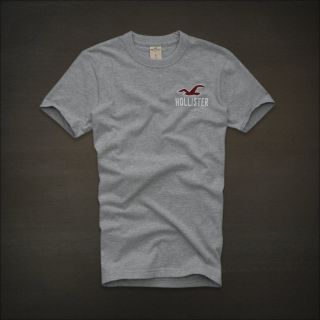 Hollister by Abercrombie Grey Dana Point 3D Seagull Graphic Crew T