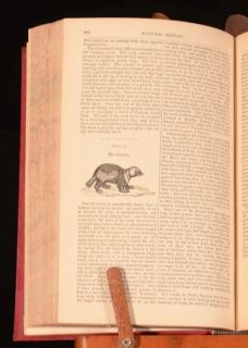 1864 Natural History Earth and Animated Nature Richard Cope