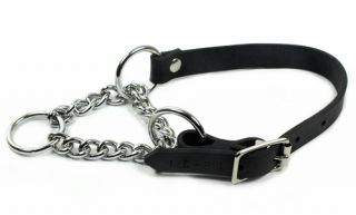  martingale handmade dog leather collar with chrome plated steel