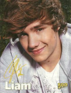 x10 MINI PIN UP: One Directions Liam Payne b/w Everything About