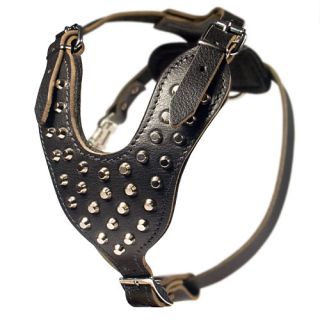our price sale stud is dean tyler s newest leather