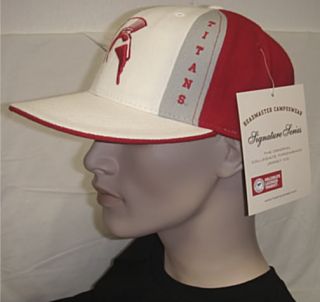 Univ of Detroit Mercy Titans Fitted Wool Flatbill Cap