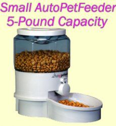 Automatic Ergo Pet Feeder Fountain Waterer Combo Small