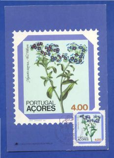 Maximum Card Portugal Azores Flowers Myosotis Azorica