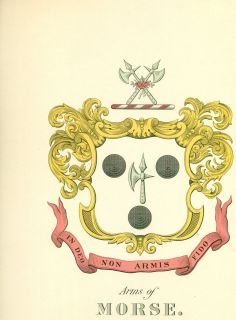 Great Coat of Arms Morse Family Crest Genealogy Would Look Great